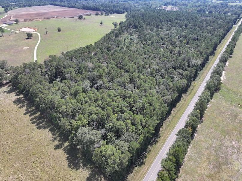 dji_fly_20250929_130320_0561_1759177337354_photo