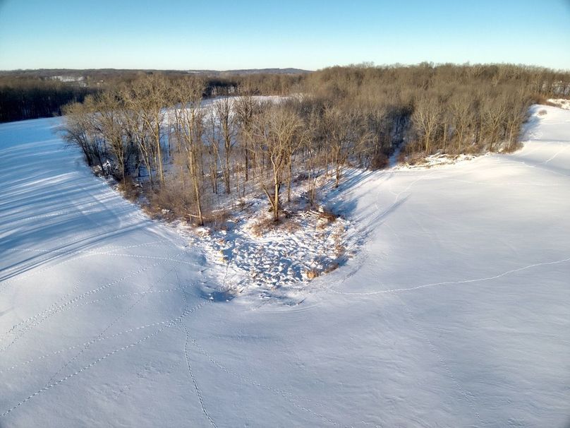 Copy of Tract 5 N timber E Tip Large