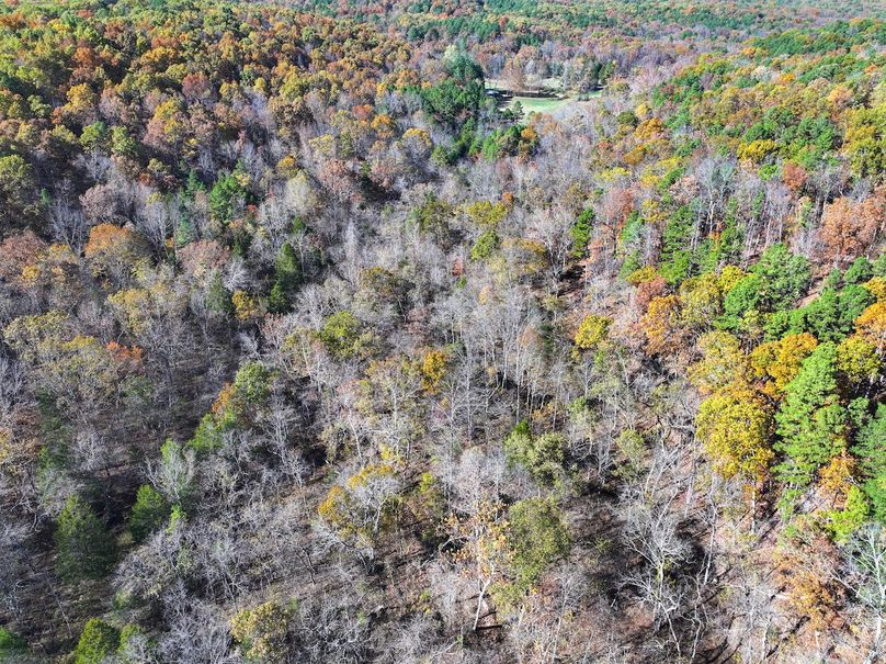 DJI_20251104130909_0857_D