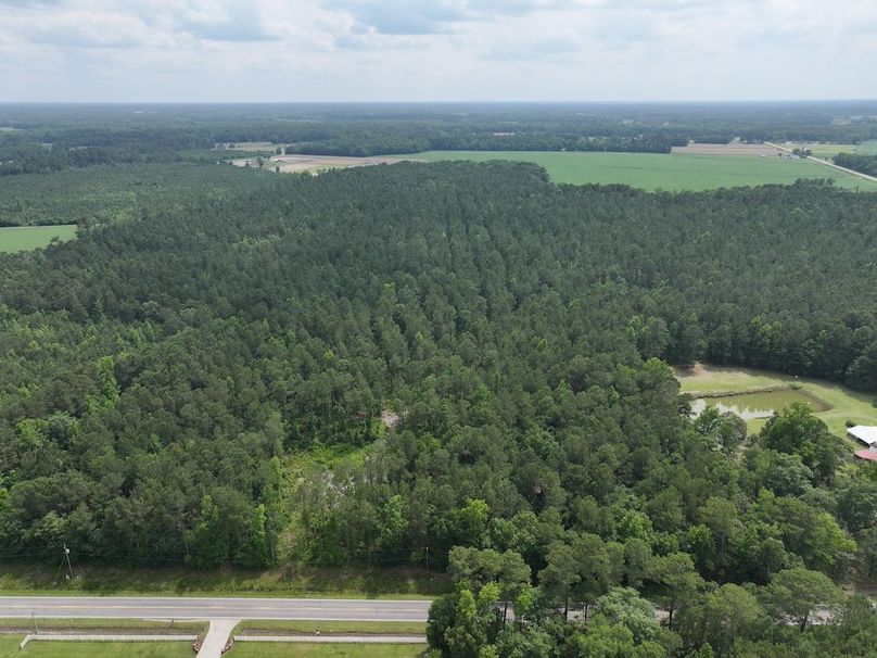 DJI_20250604142203_0095_D