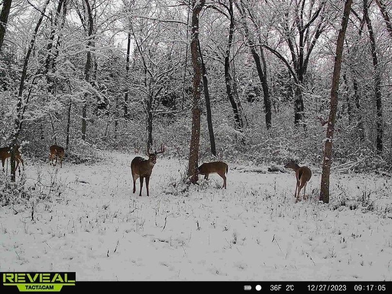 865814040391144-100-2-12272023091704-HD-W1007948