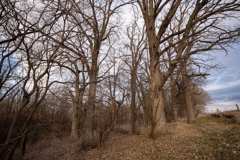 3605 Big Hill Rd.-103