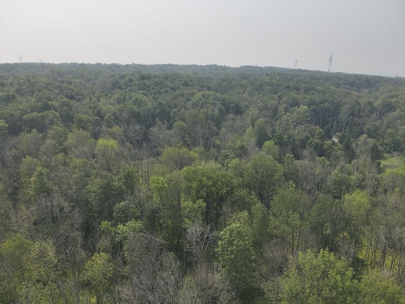 9 DJI_20250804112915_0003_V