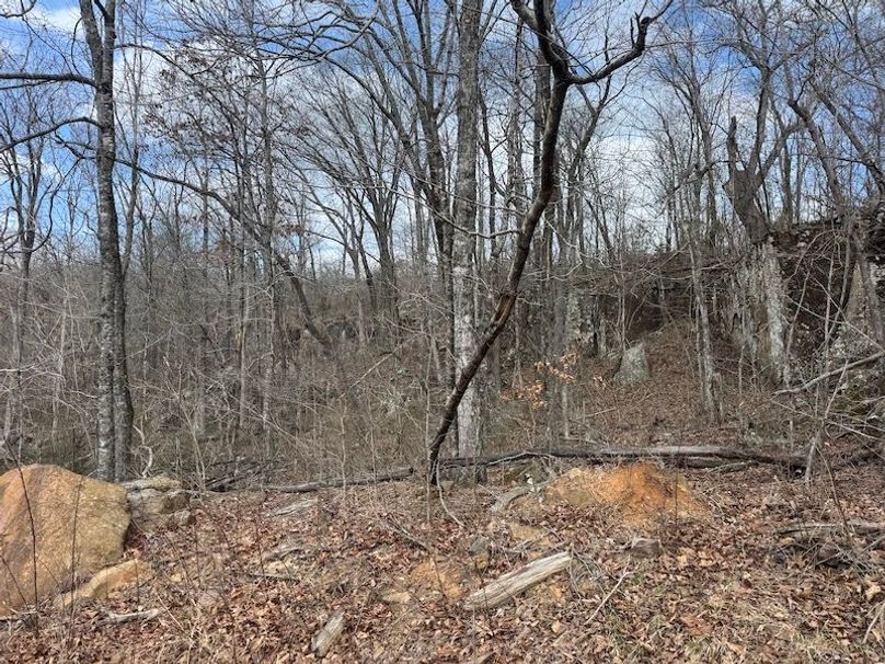 stone8020260306_0071