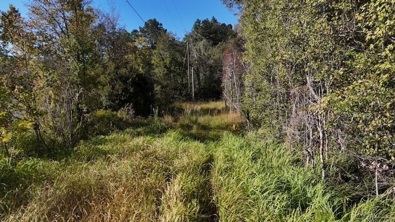 DJI_20251016161054_0007_D