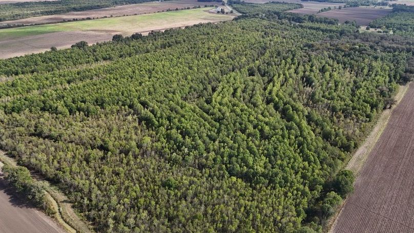 DJI_20251009043546_0780_D