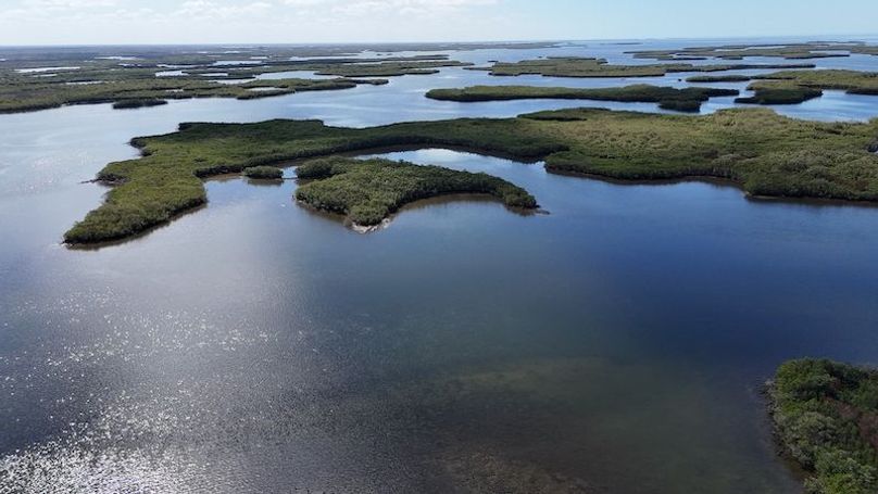 17.17ac, Citrus, Josiah Ronco19