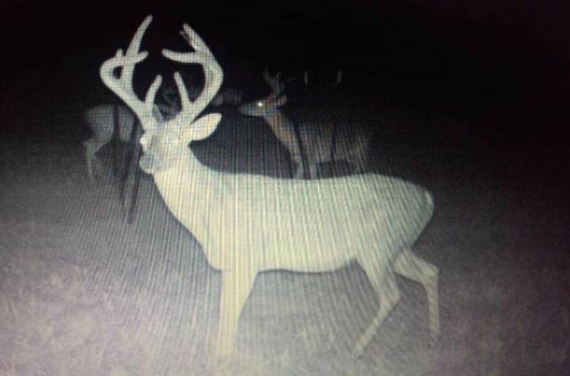 Claiborne Co-314-Fernandez-24