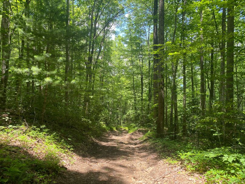 Swain 39 Tysinger-08