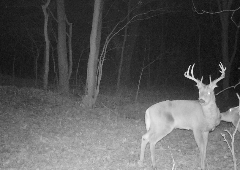 369DD122-0F4D-4C65-B9D6-47BE6D293E5A