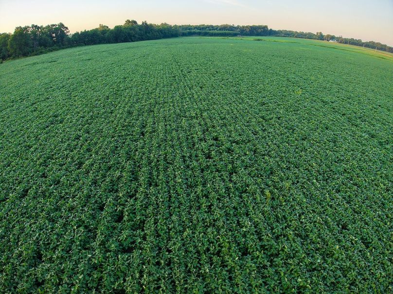 DJI_20250823070033_0901_D