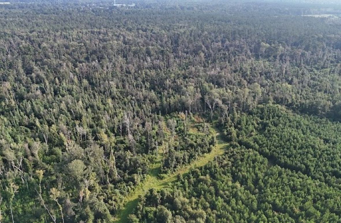 dji_fly_20250903_215802_0012_1756926963507_photo