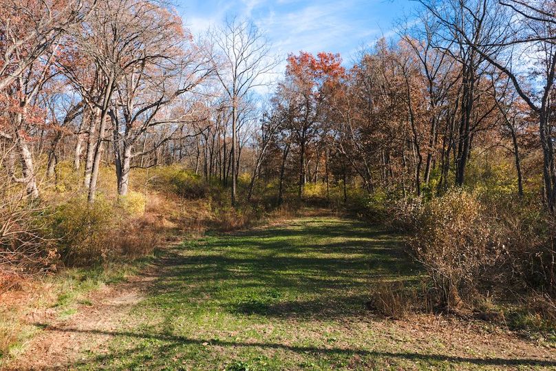 DJI_20251116124030_0158_D