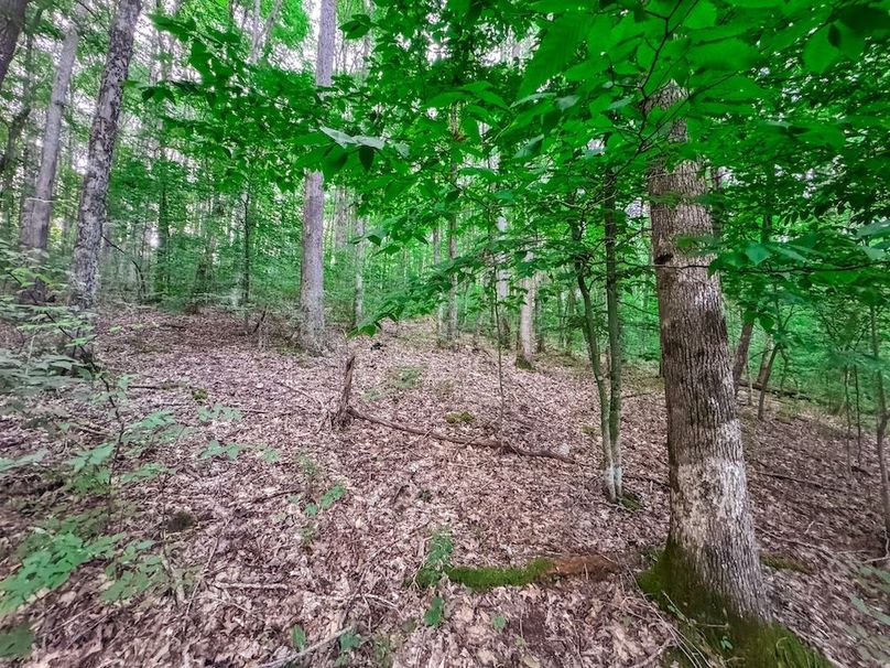 Webster, WV 42 AC Barger-16