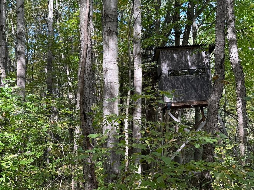 Cayuga_55.02_Herman Photo 38