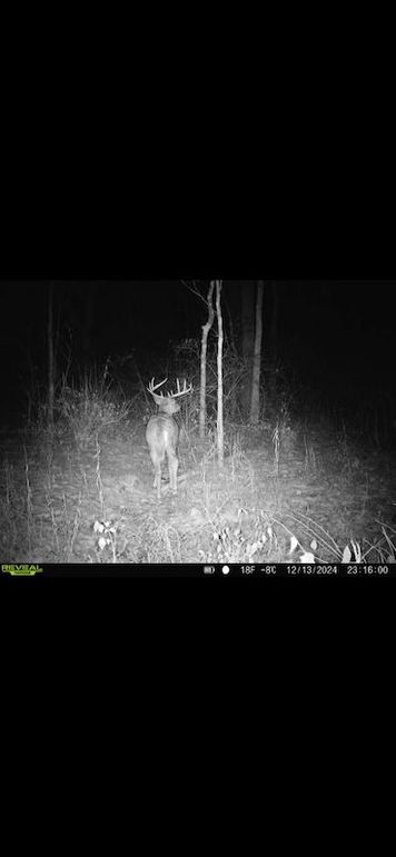 Screenshot 2026-02-27 at 4.13.02 PM