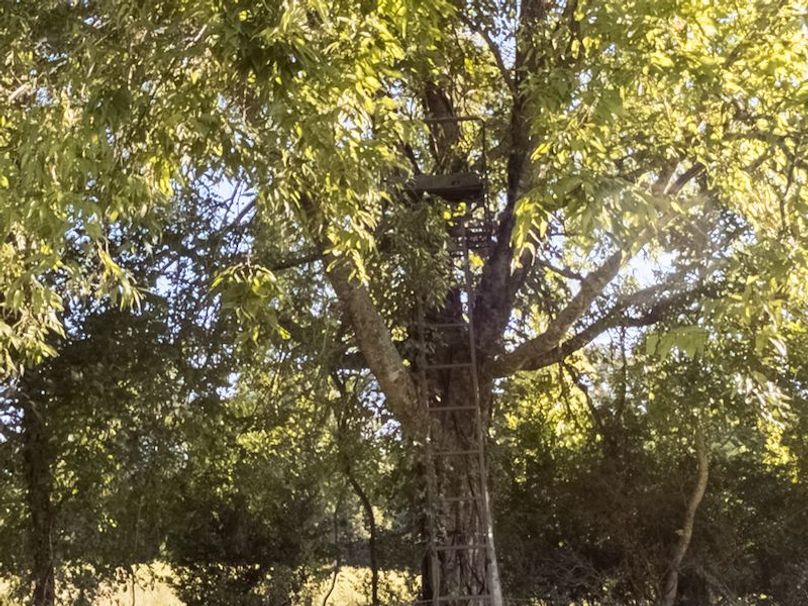 Hinds Co - 30 - Newman-08