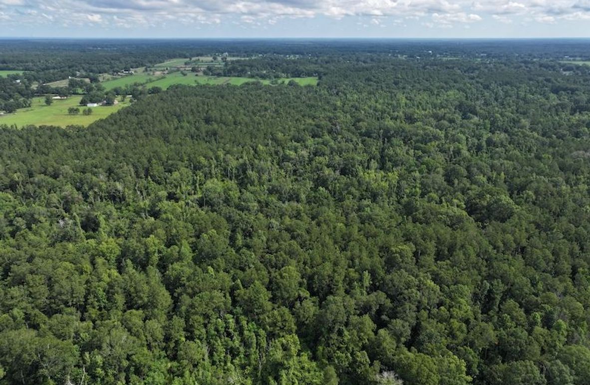 dji_fly_20250624_100240_0129_1750950818501_photo