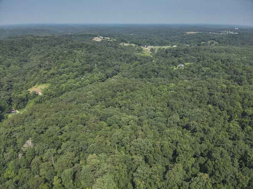 18. High S (41acres)