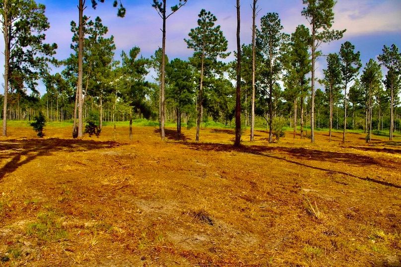 D26A086F-152F-4B0F-86CB-4BB776F03A9D_1_105_c