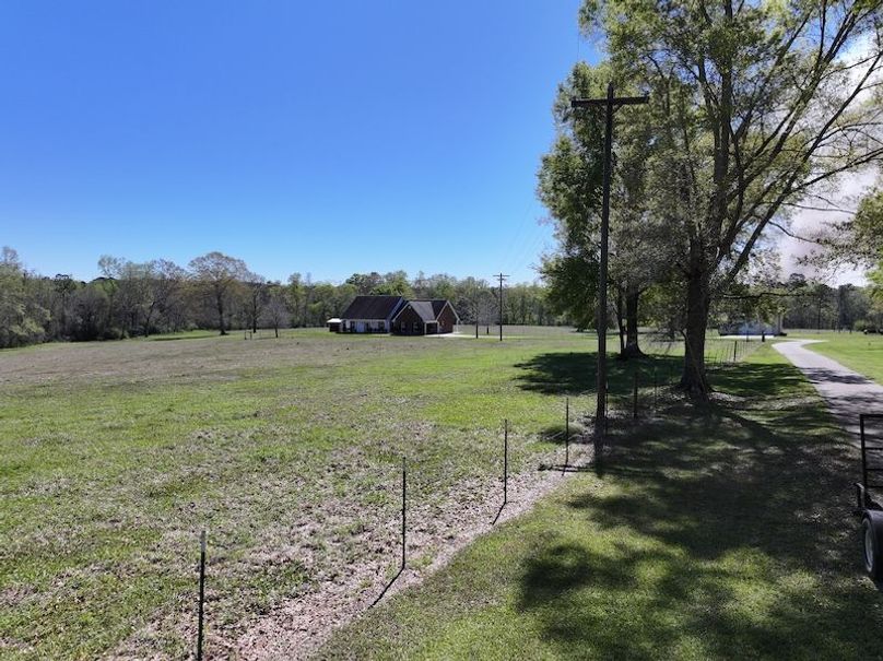 dji_fly_20260317_095510_0424_1773768868704_photo