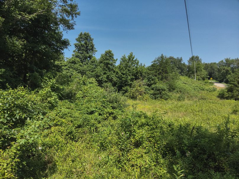 31. Open Field (18acres)