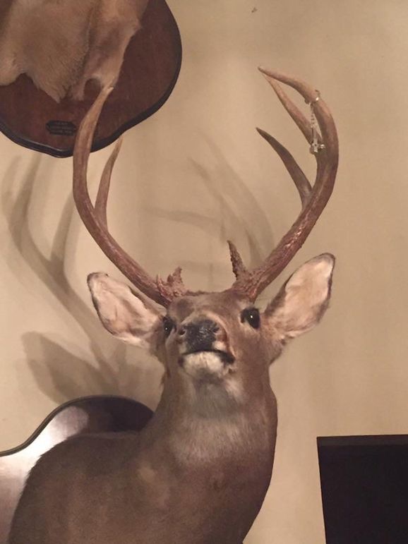 trail cam and harvest20