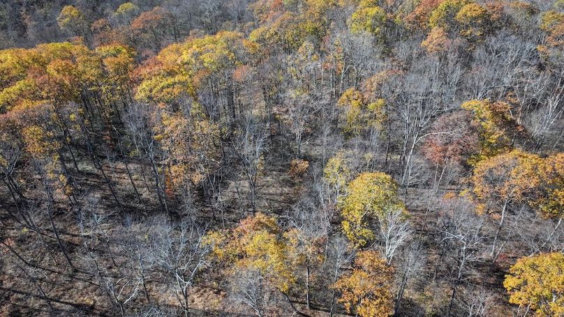 Somerset, 10.91, Tinkey-08