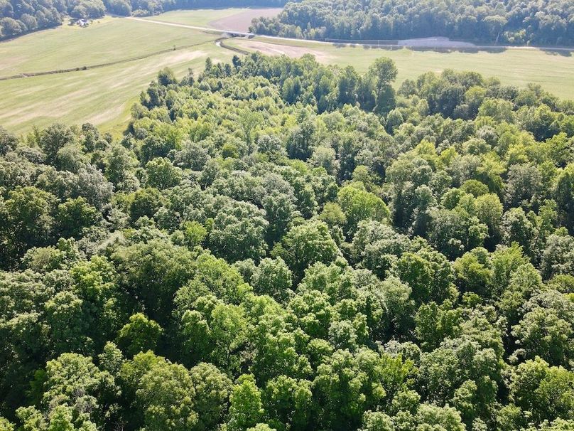 dji_fly_20260604_093908_67_1780580358673_photo