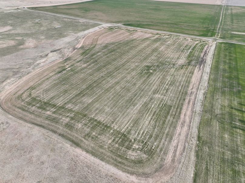 DJI_0365