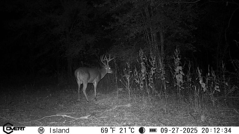 09_27_2025_20_12_34_3185406940