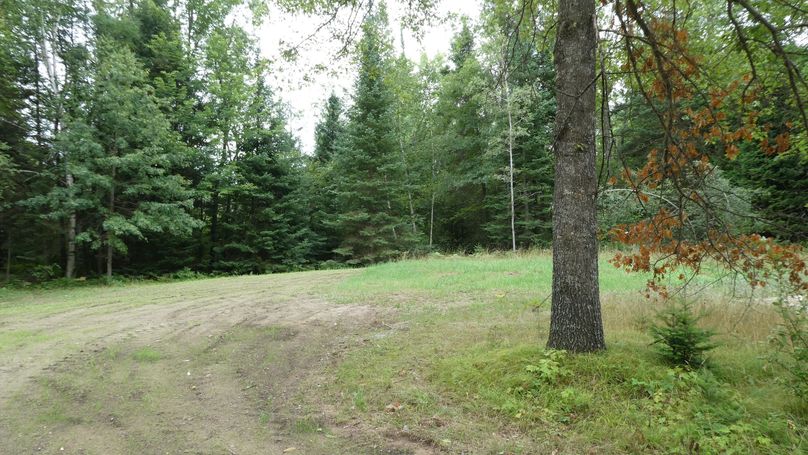 P1020106