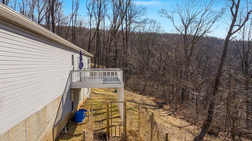 32-DJI_20260123142310_0174_D_145 Tulip Poplar Dr - Absolute Altitude -1 - 2025 - 30