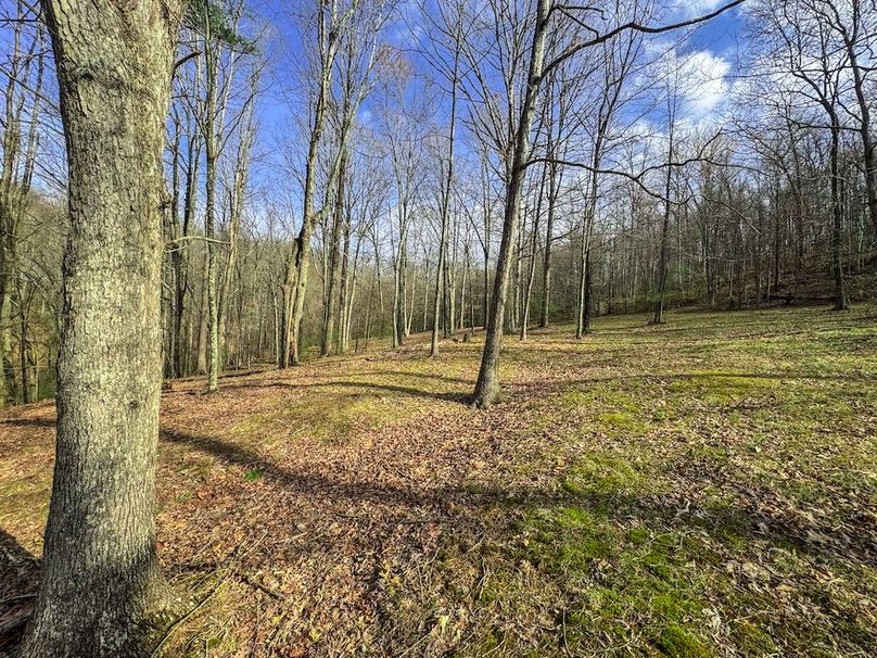 Ritchie, WV 206.08 AC Curriden-22