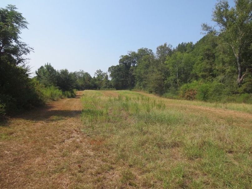 47E34240-37CD-4D61-B852-52B3500EF3FF_1_105_c