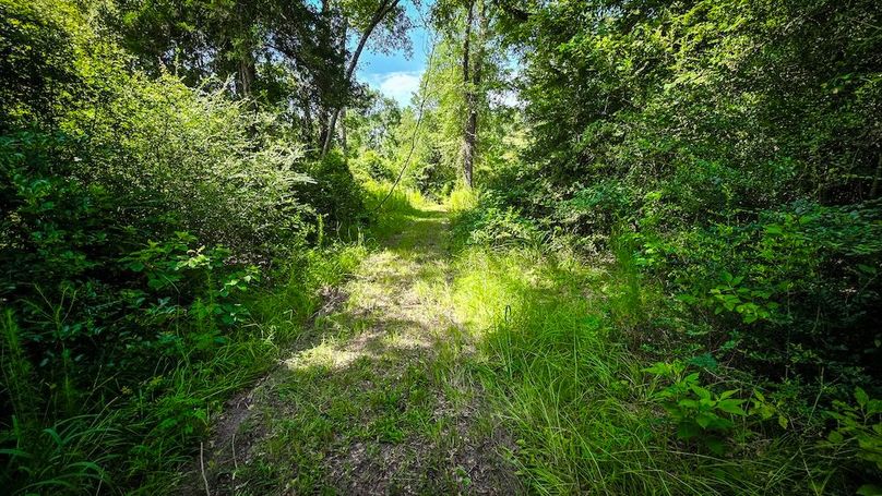 Copy of 29-20250710_104345