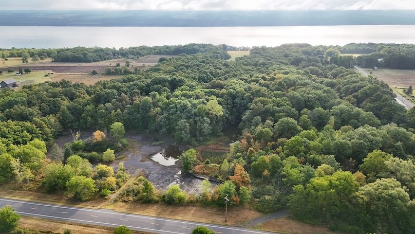 Seneca_65_Engels Photo 64JPG