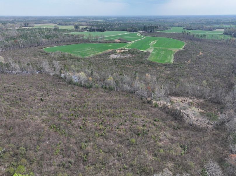 Copy of DJI_20260303062648_0514_D