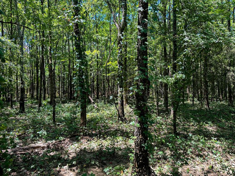 Chickasaw 160 Porter-22