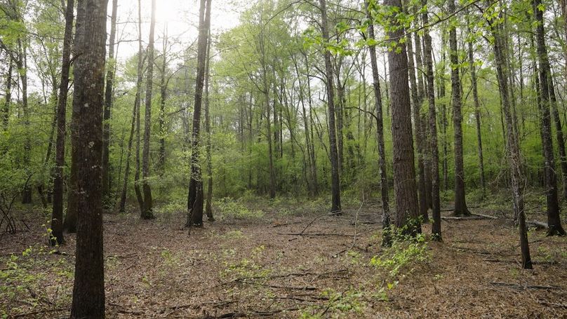 8 Marion TX 143 and 117 Featured_WEB.00_04_28_19.Still008