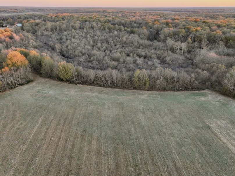 St. Francis 216.9 Calvin Parker Farms Profile -18