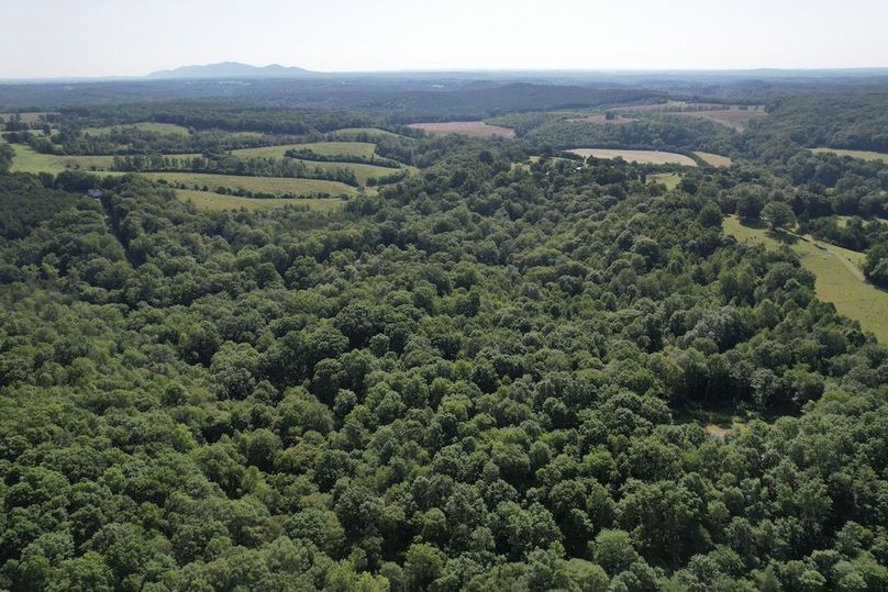 DJI_0008