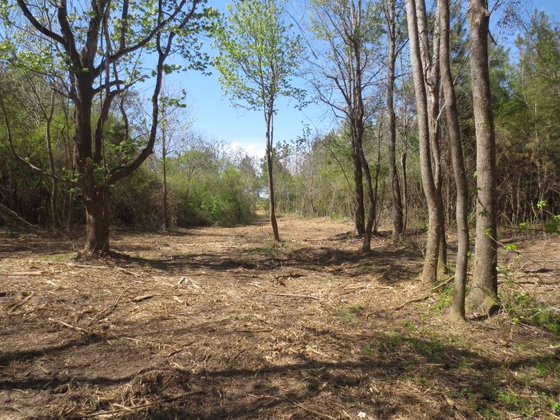 9D153D14-1AB8-480C-97FB-1441DB02A886_1_105_c