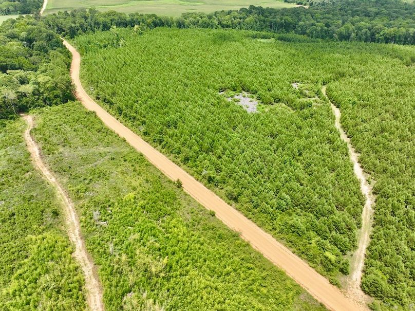 dji_fly_20240703_142642_511_1720038331991_photo