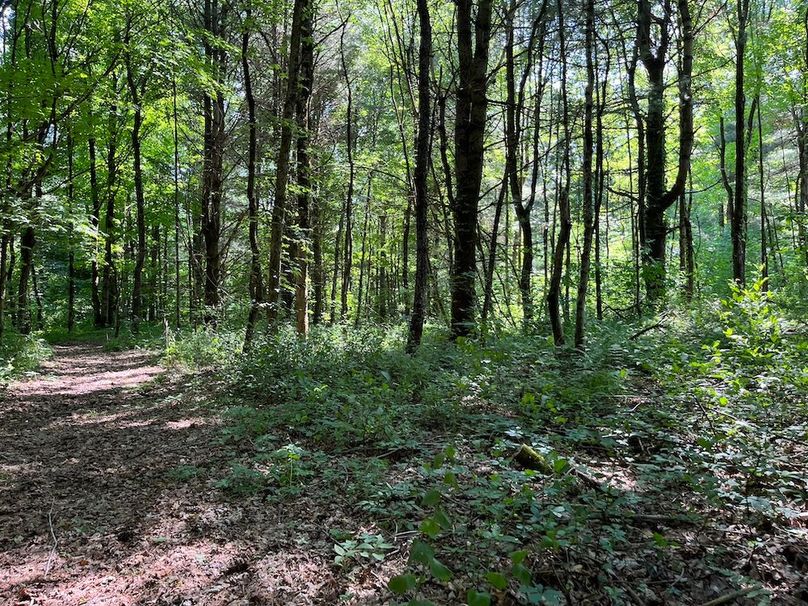 Oswego_24_Frank Photo 46