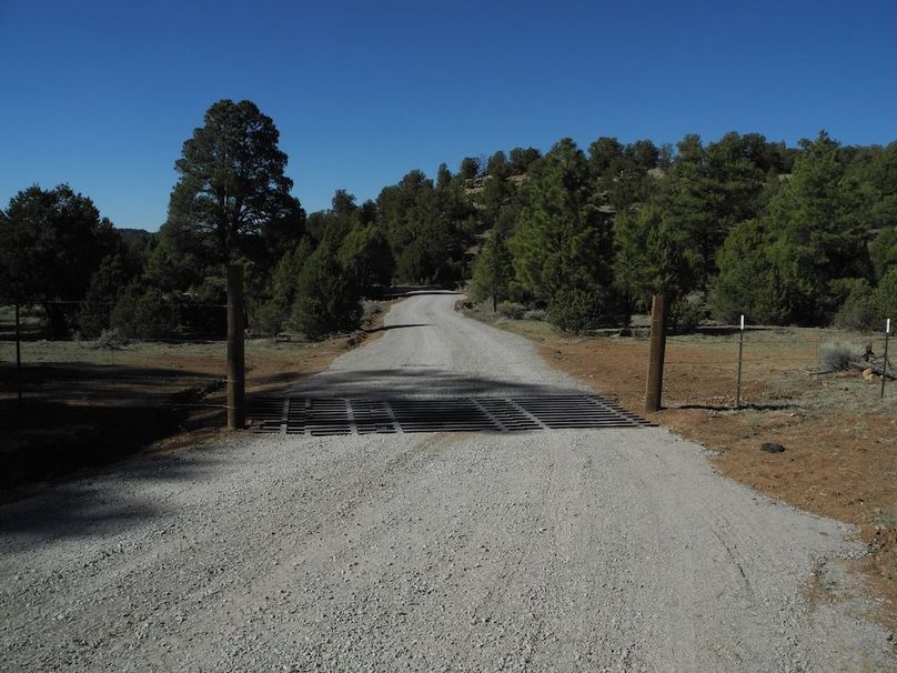 11_Pratt road cattleguard