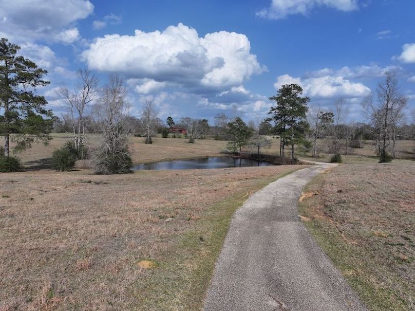 dji_fly_20260220_132046_0220_1771640791059_photo