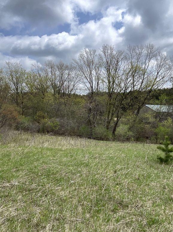 St.Croix4.56Conway-013