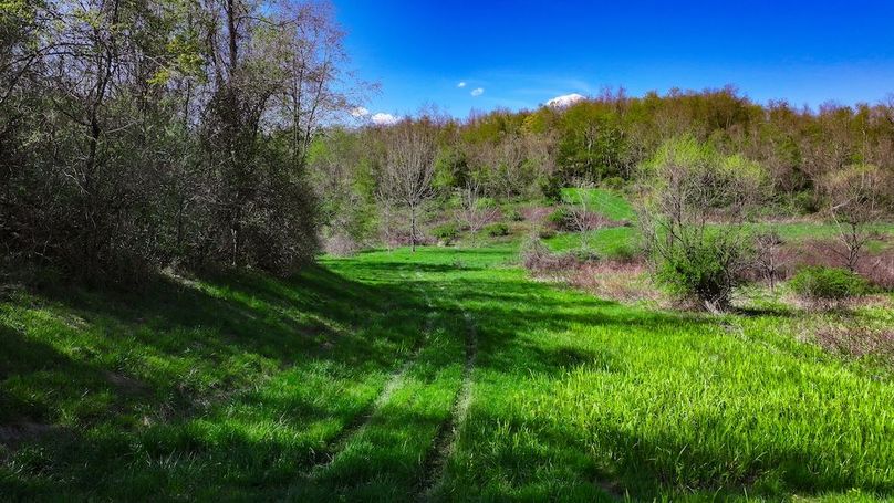 DJI_20250425040750_0440_D