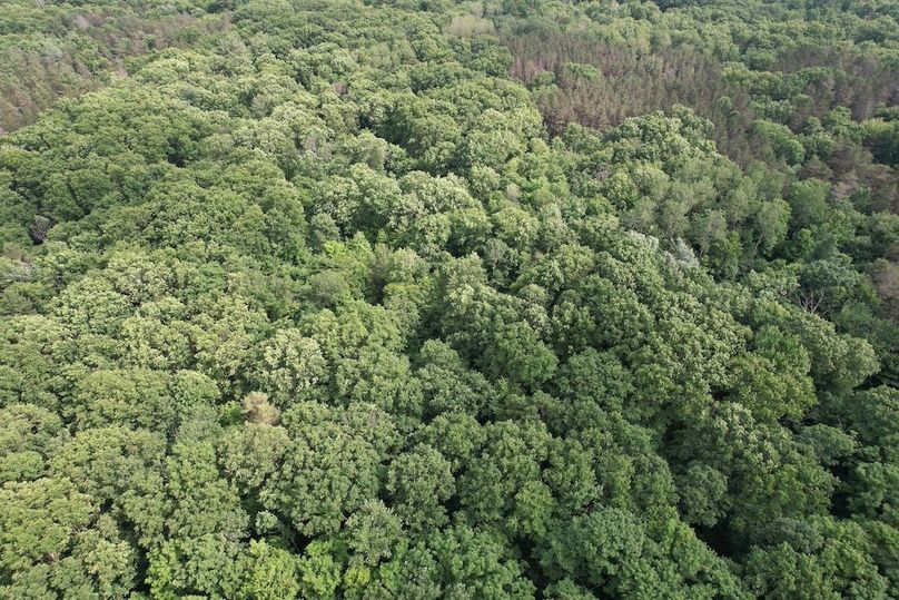 Oswego_22.46-Ross-French_Photos_16